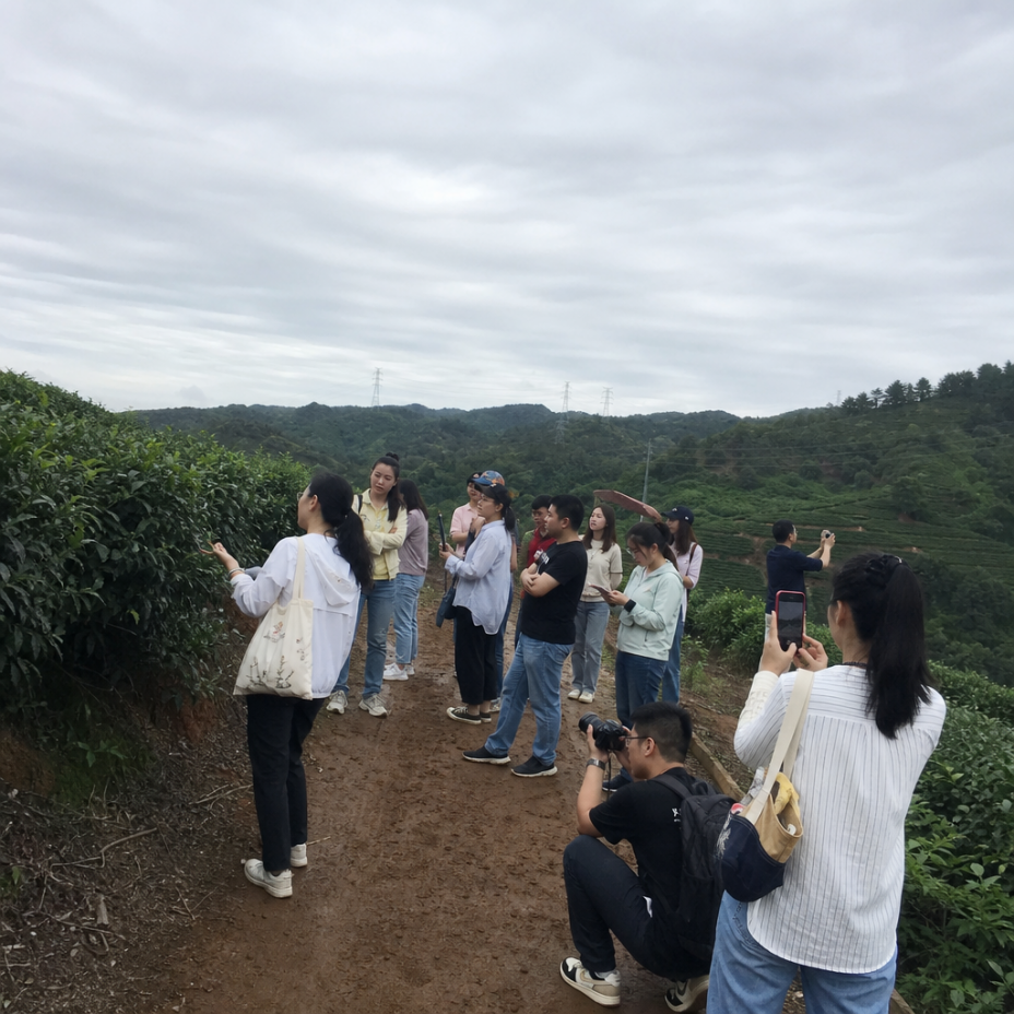 团队茶山调研